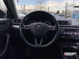 Skoda Superb bei Gebrauchtwagen.expert - Abbildung (10 / 15) Skoda Superb bei Gebrauchtwagen.expert - Abbildung (10 / 15)