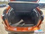 Citroen Feel bei Gebrauchtwagen.expert - Abbildung (14 / 15)