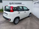 Fiat Panda bei Gebrauchtwagen.expert - Abbildung (6 / 15) Fiat Panda bei Gebrauchtwagen.expert - Abbildung (6 / 15)
