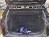 Dacia Duster bei Gebrauchtwagen.expert - Abbildung (7 / 15)