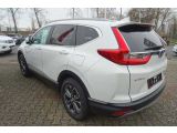 Honda CR-V bei Gebrauchtwagen.expert - Abbildung (7 / 14)