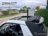 Smart Cabrio bei Gebrauchtwagen.expert - Abbildung (5 / 14)