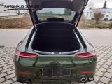 Mercedes-Benz GT-Klasse bei Gebrauchtwagen.expert - Abbildung (11 / 14)