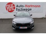Skoda Octavia bei Gebrauchtwagen.expert - Abbildung (4 / 10)