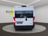 Opel Movano bei Gebrauchtwagen.expert - Abbildung (4 / 15)