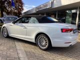 Audi A5 Cabriolet bei Gebrauchtwagen.expert - Abbildung (9 / 15)