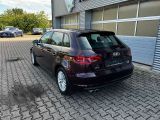 Audi A3 bei Gebrauchtwagen.expert - Abbildung (8 / 15)
