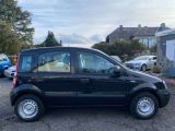 Fiat Panda bei Gebrauchtwagen.expert - Abbildung (4 / 15)