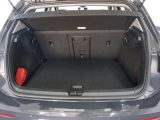 VW Golf bei Gebrauchtwagen.expert - Abbildung (13 / 13)