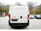 Opel Movano bei Gebrauchtwagen.expert - Abbildung (12 / 15) Opel Movano bei Gebrauchtwagen.expert - Abbildung (12 / 15)