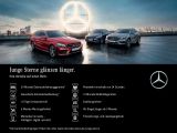 Mercedes-Benz B-Klasse bei Gebrauchtwagen.expert - Abbildung (11 / 13)