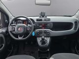 Fiat Panda bei Gebrauchtwagen.expert - Abbildung (15 / 15)