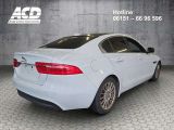 Jaguar XE bei Gebrauchtwagen.expert - Abbildung (7 / 15) Jaguar XE bei Gebrauchtwagen.expert - Abbildung (7 / 15)