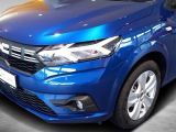 Dacia Sandero bei Gebrauchtwagen.expert - Abbildung (8 / 13)