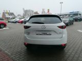 Mazda CX 5 bei Gebrauchtwagen.expert - Abbildung (3 / 11)