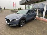 Mazda CX-30 bei Gebrauchtwagen.expert - Abbildung (7 / 10)