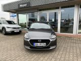 Mazda 2 bei Gebrauchtwagen.expert - Abbildung (2 / 12)