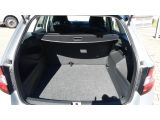 Skoda Fabia bei Gebrauchtwagen.expert - Abbildung (9 / 15)