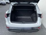 Renault Austral bei Gebrauchtwagen.expert - Abbildung (6 / 14)