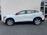 Renault Austral bei Gebrauchtwagen.expert - Abbildung (4 / 14)