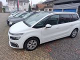 Citroen C4 bei Gebrauchtwagen.expert - Abbildung (5 / 12)