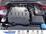 Skoda Octavia bei Gebrauchtwagen.expert - Abbildung (4 / 10)