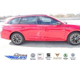 Skoda Octavia bei Gebrauchtwagen.expert - Abbildung (3 / 10)