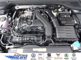 VW Golf bei Gebrauchtwagen.expert - Abbildung (4 / 10) VW Golf bei Gebrauchtwagen.expert - Abbildung (4 / 10)