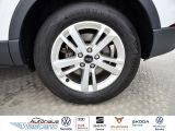 Audi Q3 bei Gebrauchtwagen.expert - Abbildung (5 / 10) Audi Q3 bei Gebrauchtwagen.expert - Abbildung (5 / 10)