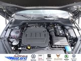 Skoda Octavia bei Gebrauchtwagen.expert - Abbildung (7 / 10) Skoda Octavia bei Gebrauchtwagen.expert - Abbildung (7 / 10)