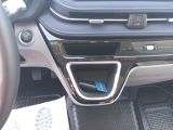 Maxus Andere bei Gebrauchtwagen.expert - Abbildung (9 / 15)