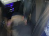 Mercedes-Benz C bei Gebrauchtwagen.expert - Abbildung (13 / 15)