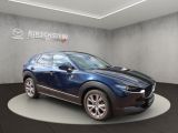 Mazda CX-30 bei Gebrauchtwagen.expert - Abbildung (7 / 15)