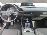 Mazda CX-30 bei Gebrauchtwagen.expert - Abbildung (13 / 15)