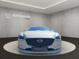 Mazda 6 bei Gebrauchtwagen.expert - Abbildung (8 / 15)