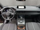 Mazda MX-30 bei Gebrauchtwagen.expert - Abbildung (13 / 15) Mazda MX-30 bei Gebrauchtwagen.expert - Abbildung (13 / 15)