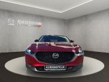 Mazda CX-30 bei Gebrauchtwagen.expert - Abbildung (8 / 15)