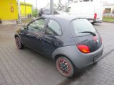 Ford Ka bei Gebrauchtwagen.expert - Abbildung (7 / 14)