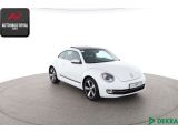 VW Beetle bei Gebrauchtwagen.expert - Abbildung (7 / 10)
