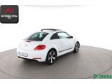 VW Beetle bei Gebrauchtwagen.expert - Abbildung (5 / 10)