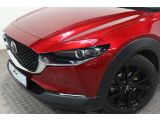 Mazda CX-30 bei Gebrauchtwagen.expert - Abbildung (5 / 10)