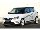 Skoda Fabia bei Gebrauchtwagen.expert - Abbildung (3 / 15)