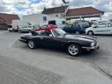 Jaguar XJS bei Gebrauchtwagen.expert - Abbildung (13 / 15)