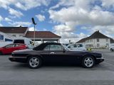 Jaguar XJS bei Gebrauchtwagen.expert - Abbildung (9 / 15)