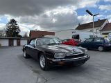 Jaguar XJS bei Gebrauchtwagen.expert - Abbildung (11 / 15)