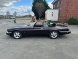 Jaguar XJS bei Gebrauchtwagen.expert - Abbildung (12 / 15)