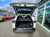 Toyota RAV 4 bei Gebrauchtwagen.expert - Abbildung (9 / 15)