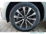 Volvo XC60 bei Gebrauchtwagen.expert - Abbildung (14 / 14)