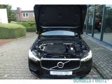 Volvo XC60 bei Gebrauchtwagen.expert - Abbildung (12 / 14)