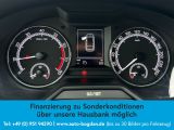 Skoda Octavia bei Gebrauchtwagen.expert - Abbildung (6 / 15)